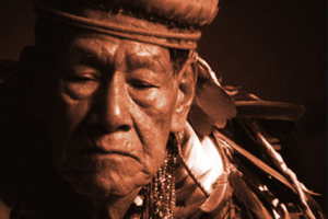population-of-south-america-2014-shaman